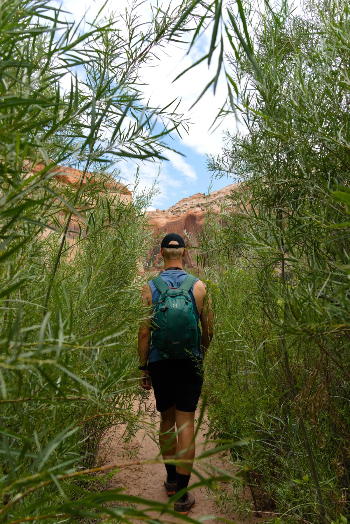 Photo 33